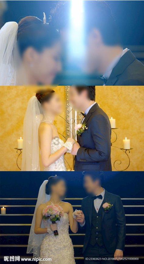 拯救枯树